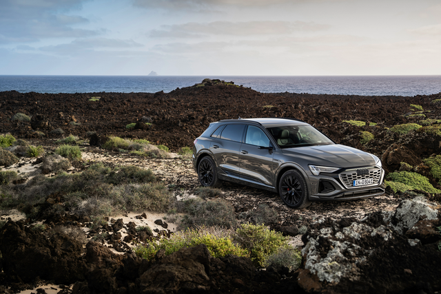 <p>The Audi Q8 55 e-tron quattro has been test-driven by experts </p>