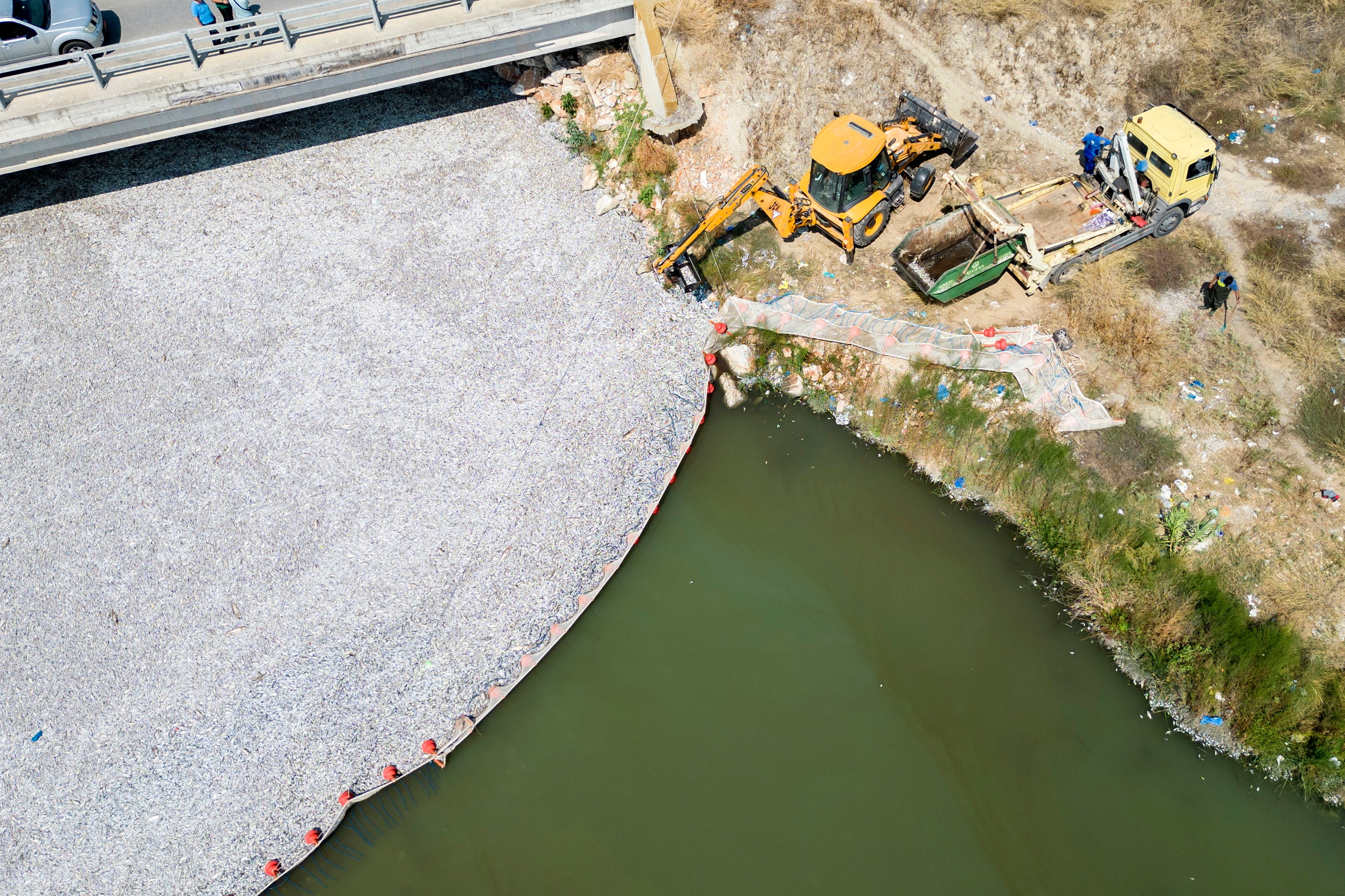 Uma imagem tirada com um drone mostra tripulações do porto de Volos coletando peixes mortos da rede de proteção na foz do riacho Xiria, Volos, Grécia