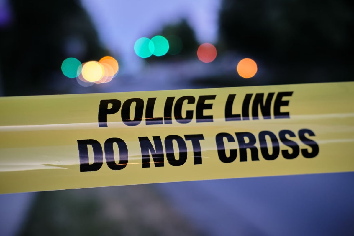 Four dogs die in Las Vegas heat after ‘plastered’ owner fell asleep and forgot to let them out of car: cops