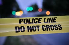 Four dogs die in Las Vegas heat after ‘plastered’ owner fell asleep and forgot to let them out of car: cops