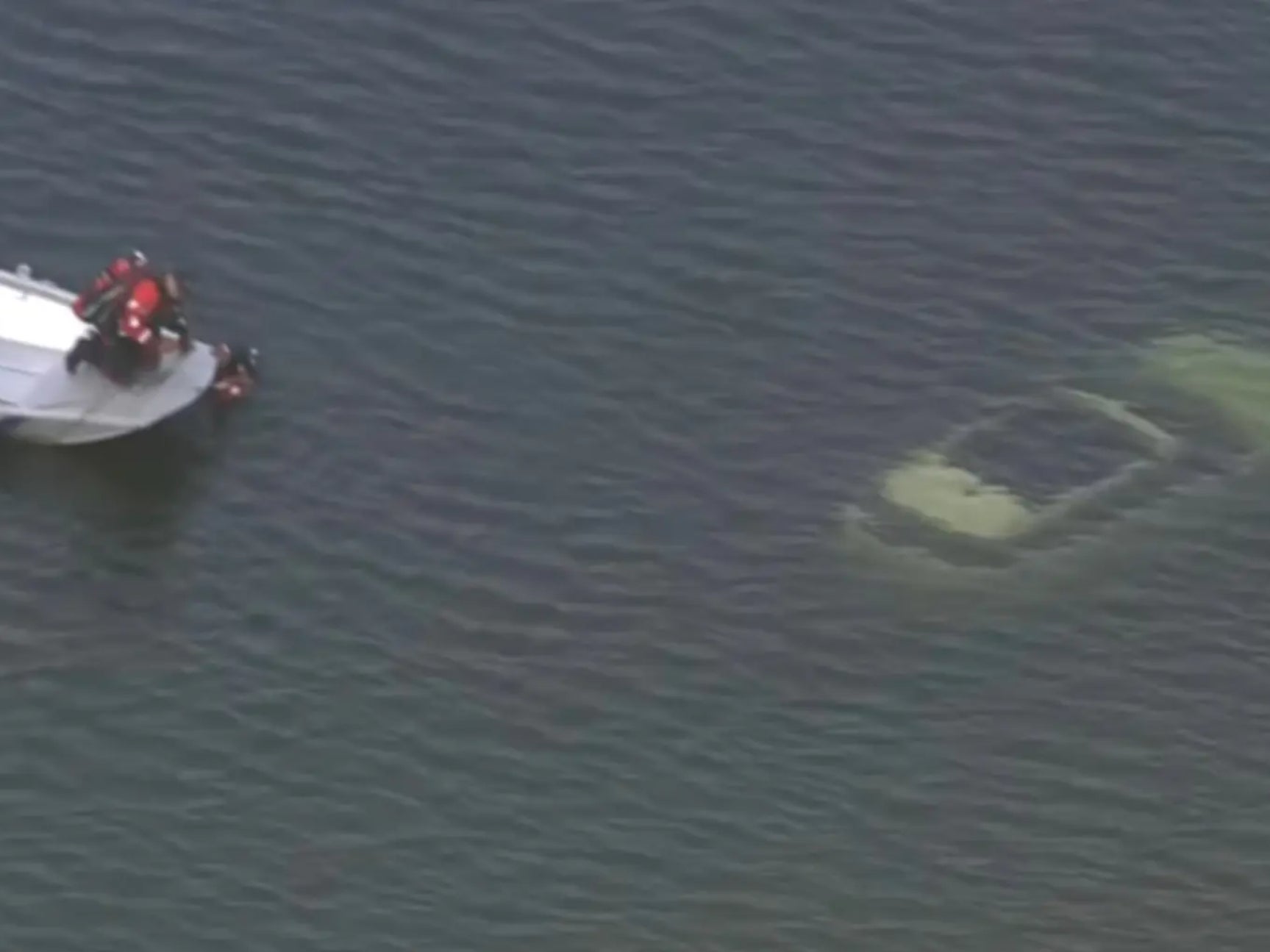 Philadelphia Police Department divers approach a submerged SUV in the Schuylkill River. The vehicle rolled into the water after a couple in the backseat accidentally hit the gear shift