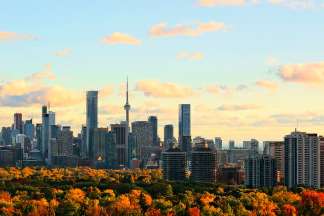 <p>Fall flights to Toronto are over 25 per cent less than the summer </p>