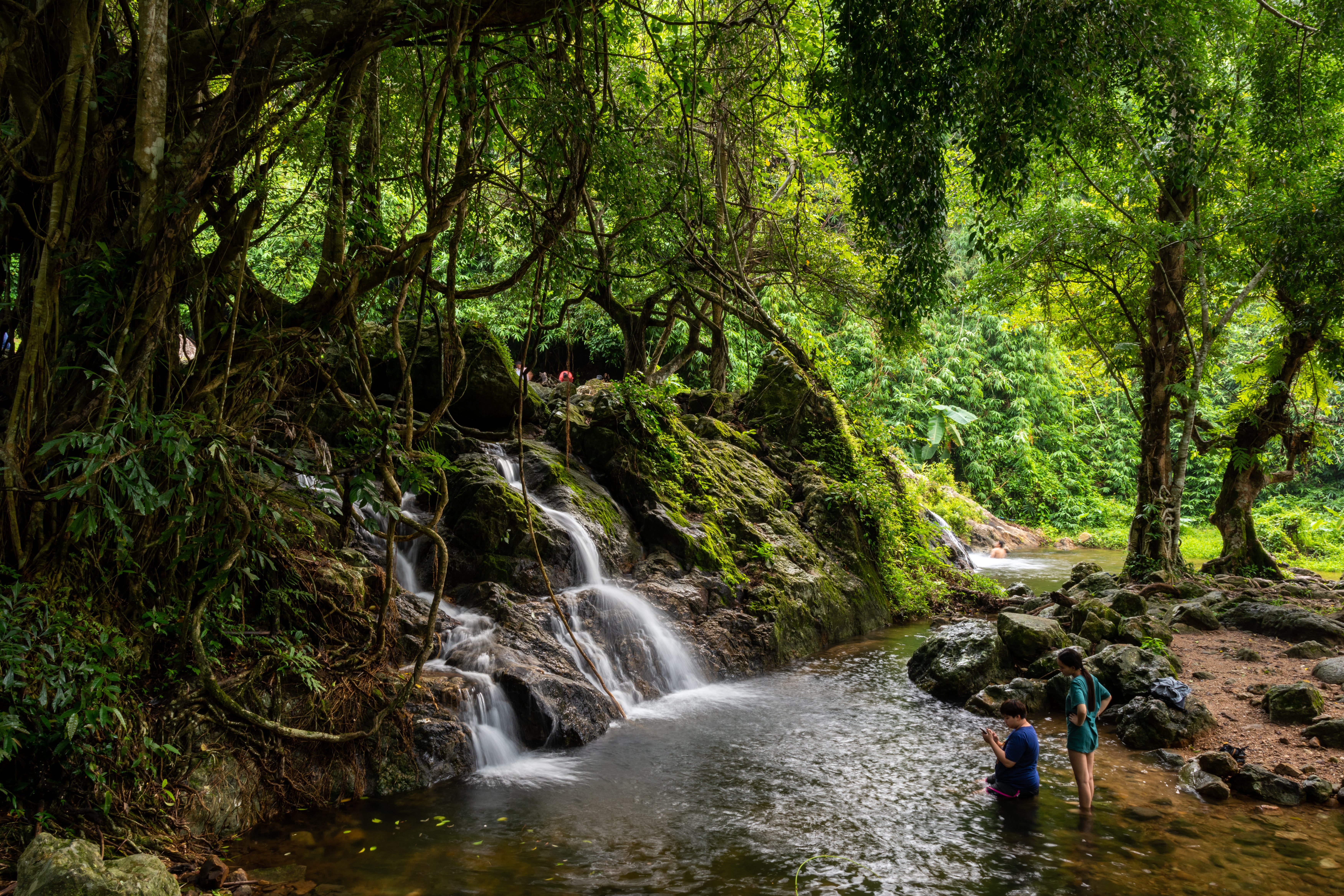 O Parque Nacional Khao Yai é um paraíso de florestas e pastagens