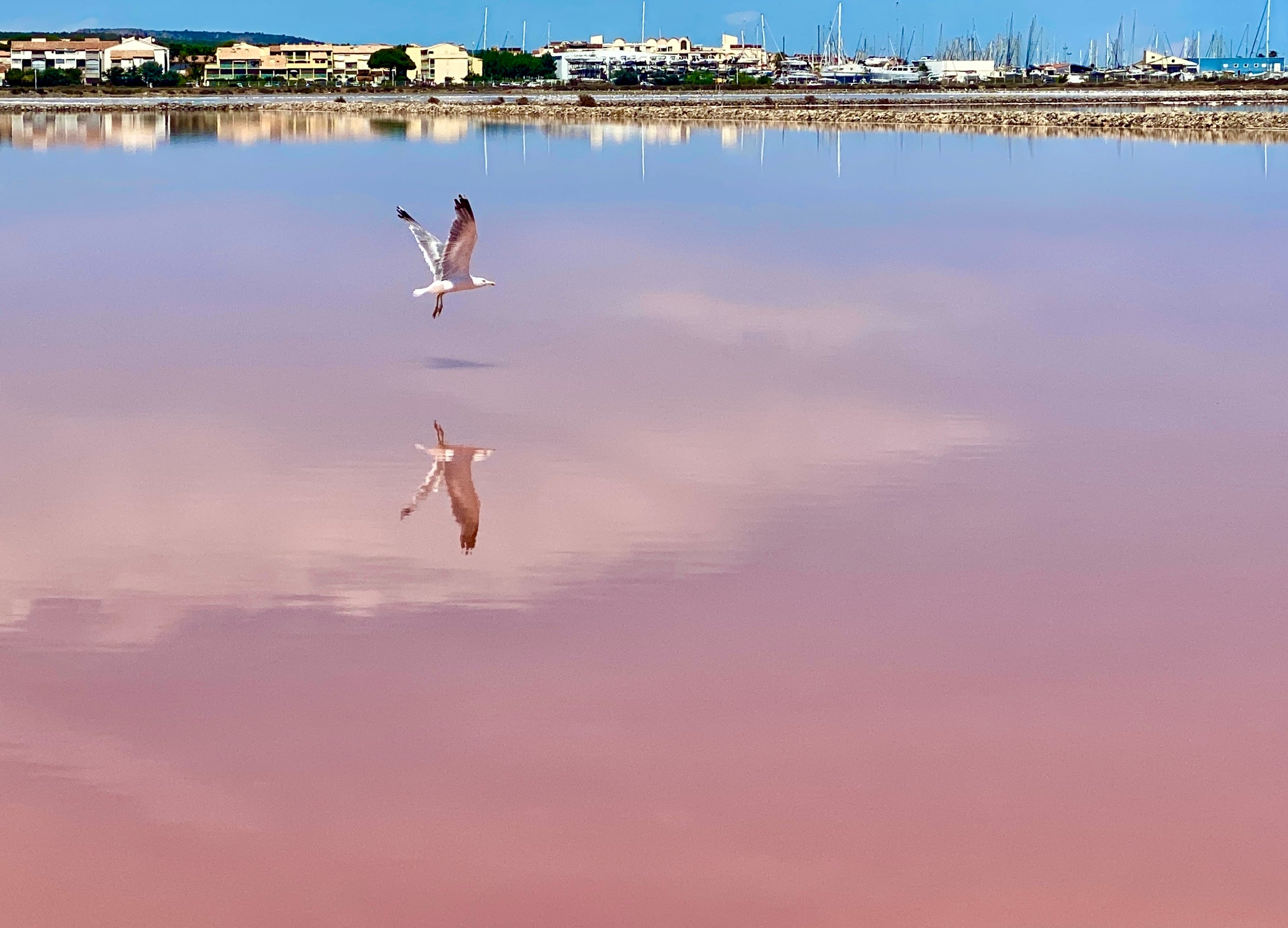 In the pink: as you cycle around Beziers, take in the amazing salt lagoon near the pretty village of Gruissan