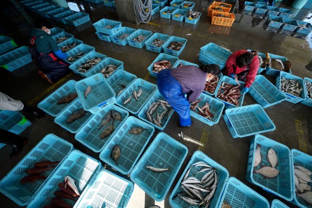 <p>Local workers arrange fish during a morning auction at Hisanohama Port </p>