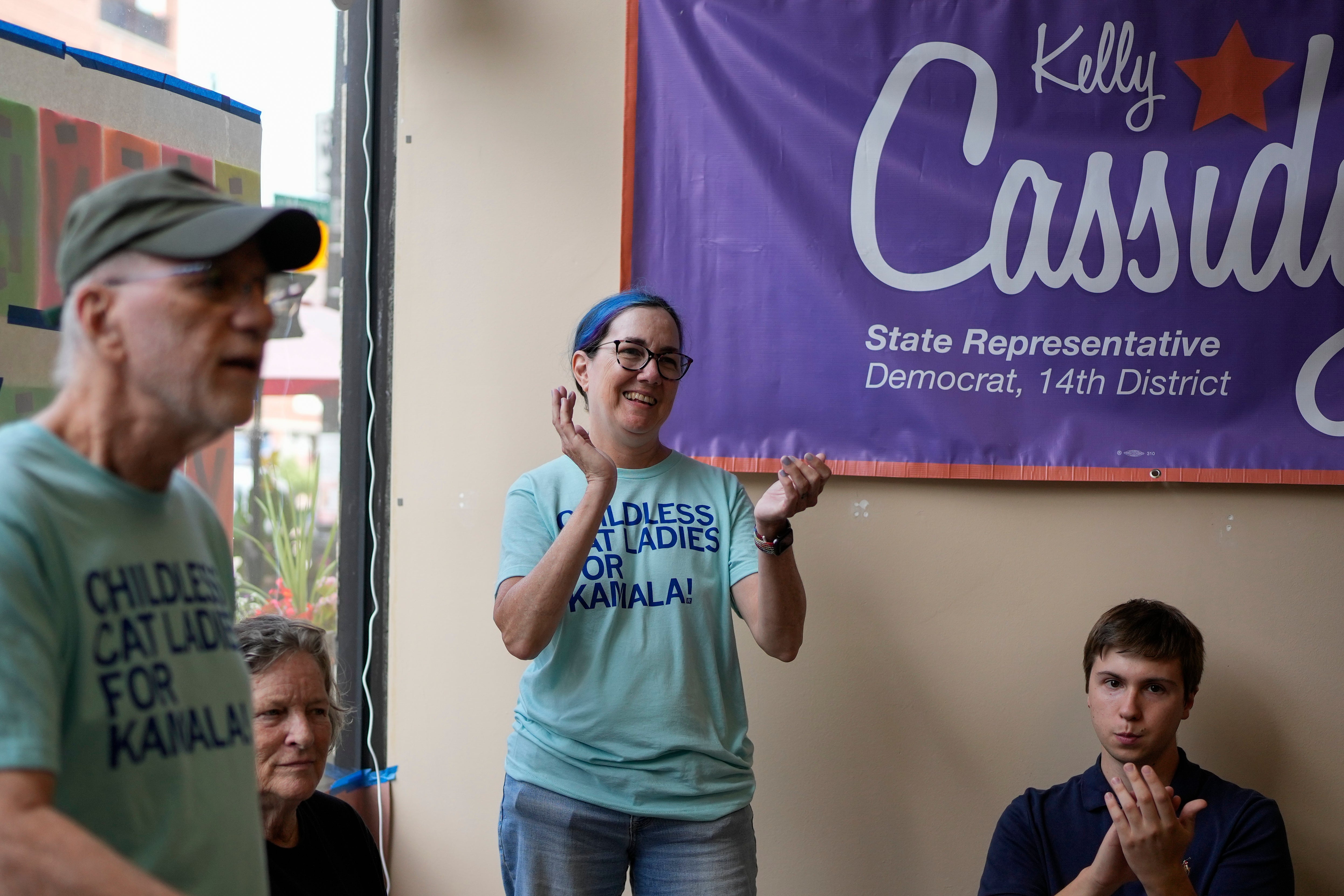 US Domestic Violence Illinois Lawmaker