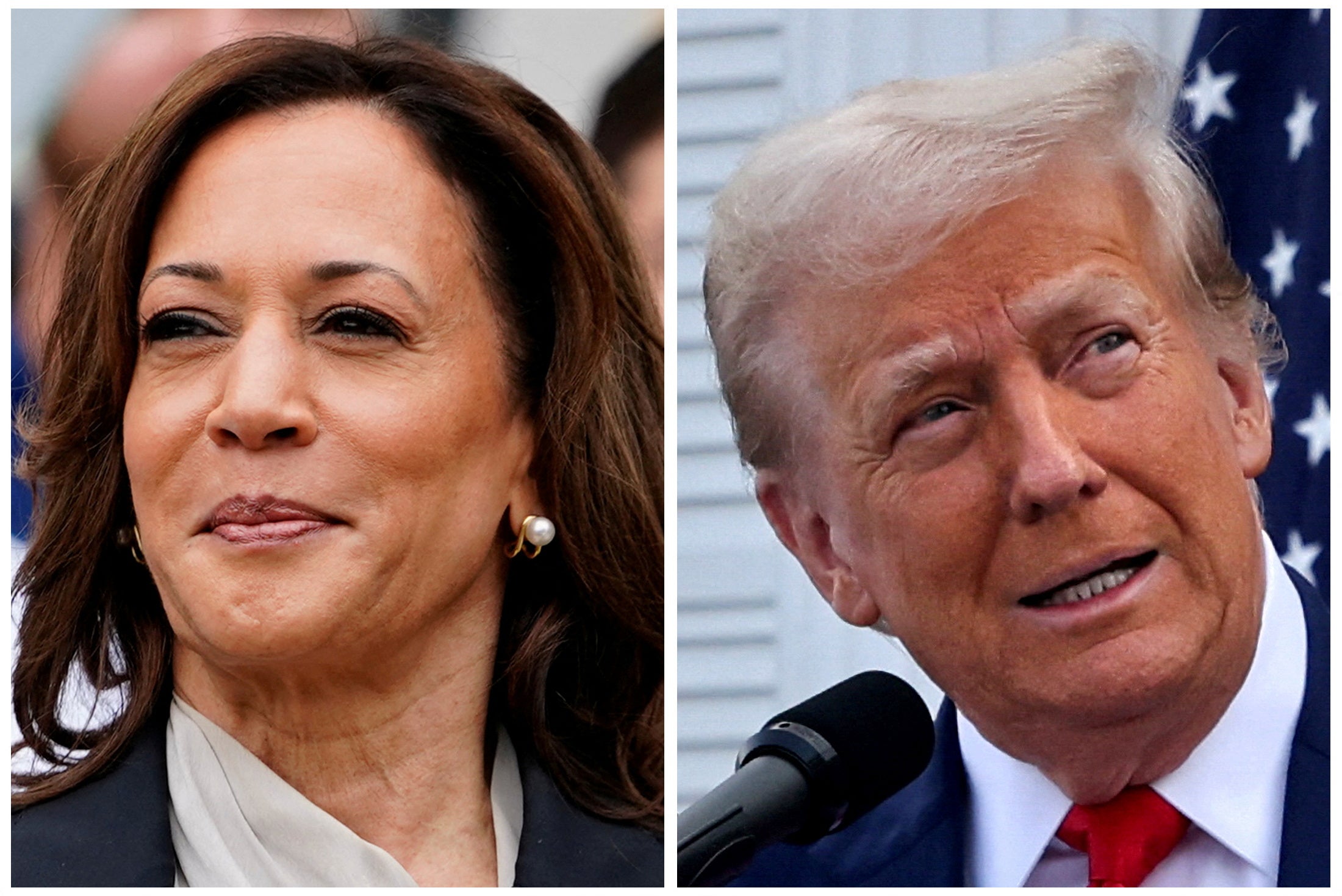 Vice President Kamala Harris and former president Donald Trump will face off in their first presidential campaign debate on September 10 on ABC. Republican pollster Frank Luntz said the debate would be ‘everything’ for the candidates’ campaigns