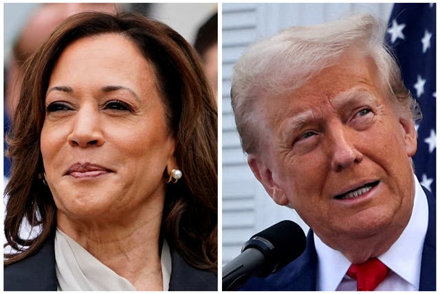 <p>Betting odds for Donald Trump surpassed Kamala Harris on Labour Day — but it still remains incredibly tight. </p>