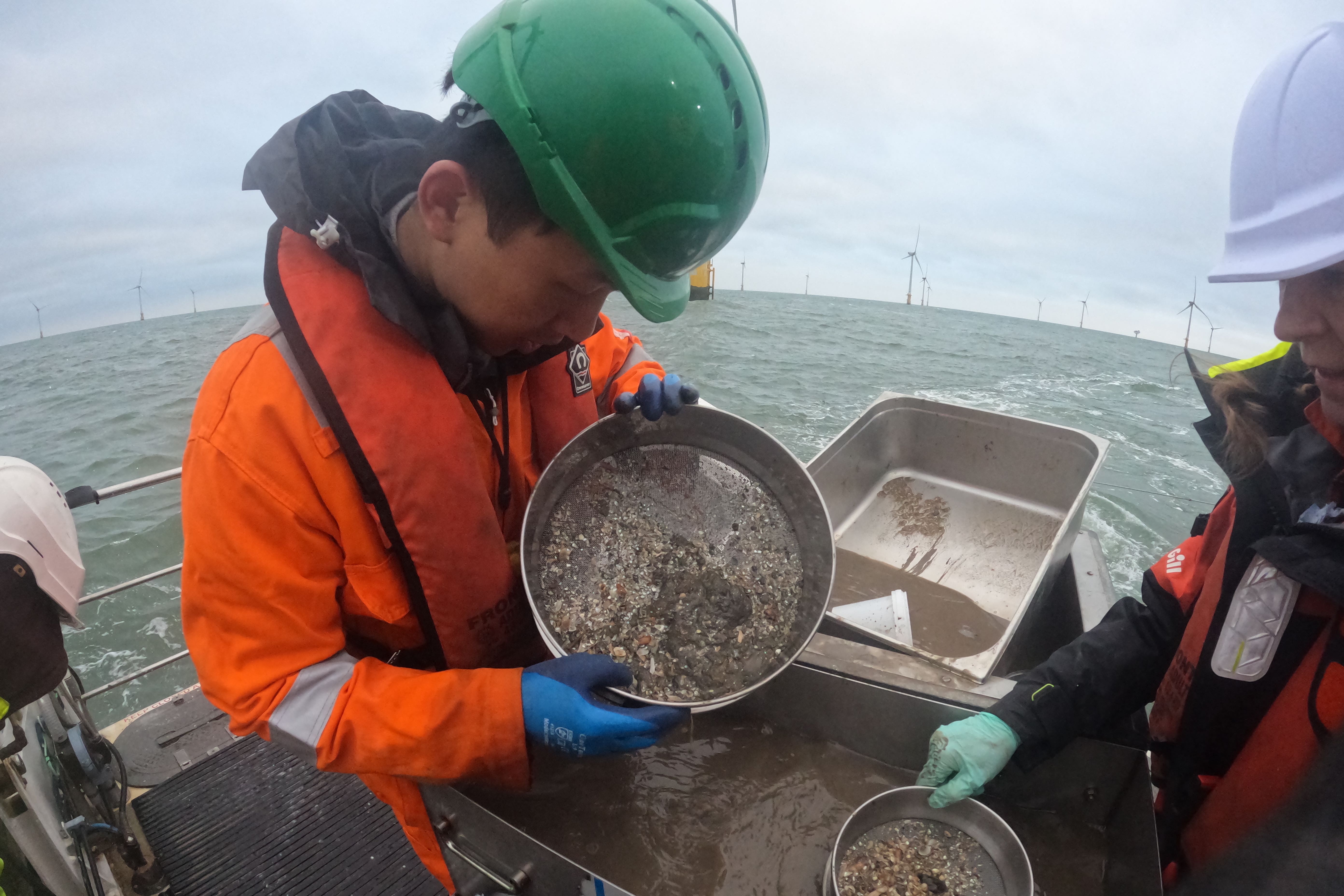 Researchers look at seabed samples (University of Essex/PA)