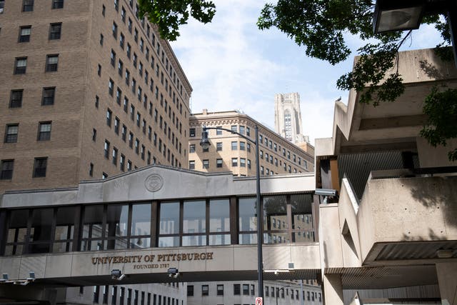 <p>Stock image of the campus of University of Pittsburgh, Pennsylvania. A group of Jewish students were attacked on campus  </p>