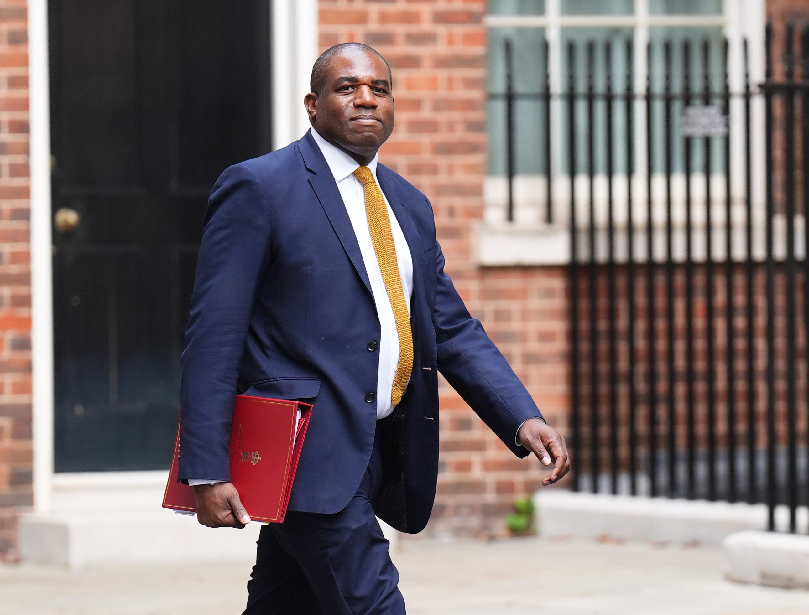 Foreign secretary David Lammy has suspended 30 export licences for arms to Israel (PA)