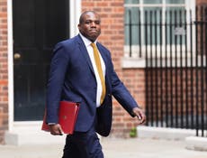 UK to suspend 30 export licences for arms to Israel, Lammy announces