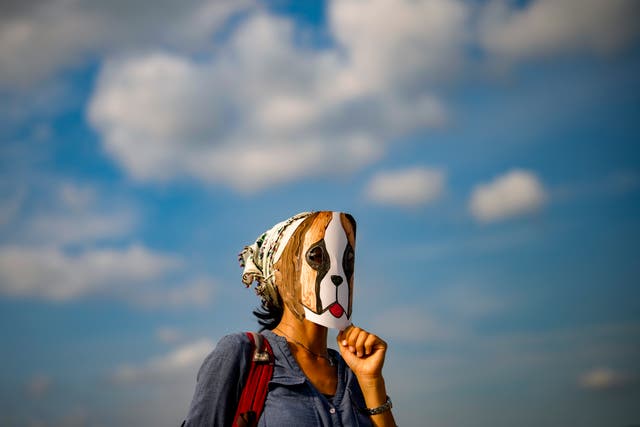 <p>A woman wears a mask during a protest against a bill approved by Turkish legislators that aims to remove stray dogs</p>