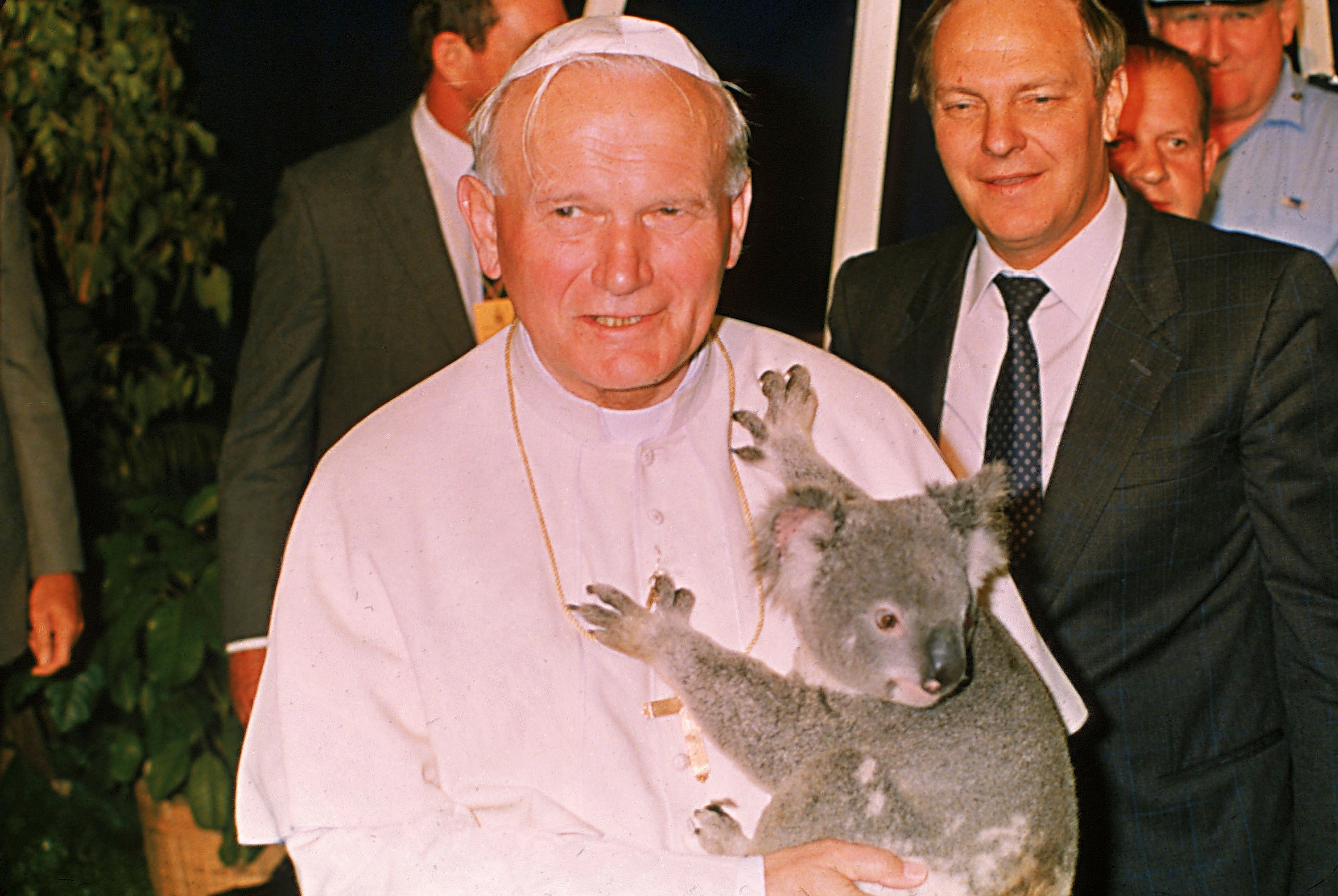 Pope John Paul II holds a koala bear during a viewing of Australia’s fauna in Brisbane, Tuesday, Nov. 25, 1986