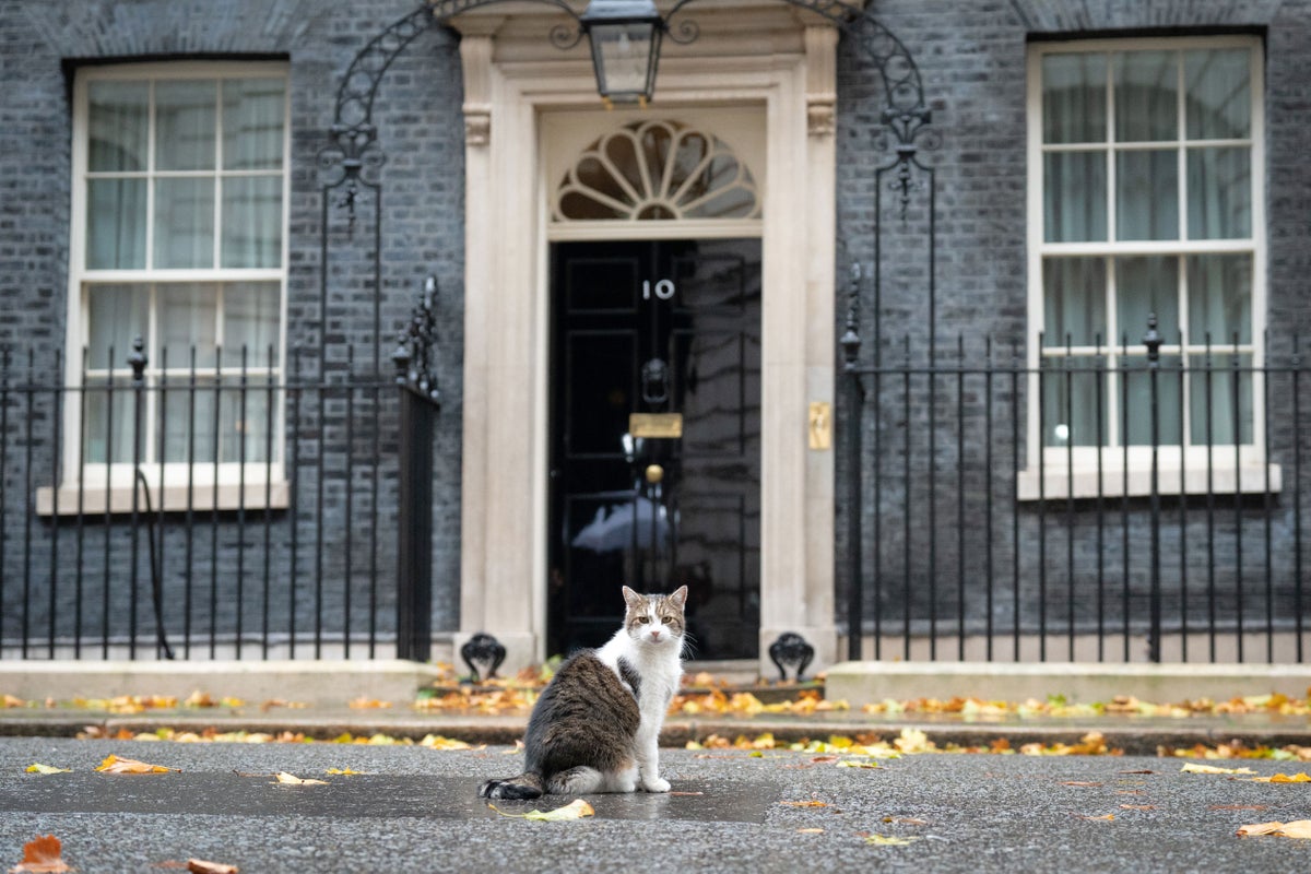 No wonder Downing Street’s in chaos – you can’t even get a decent phone signal, say ex-No 10 staffers – UK Times