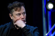 What is the sexist theory shared by Elon Musk for a republic of ‘high-status males’ 