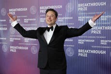 Musk suggests support for replacing democracy with government of ‘high-status males’