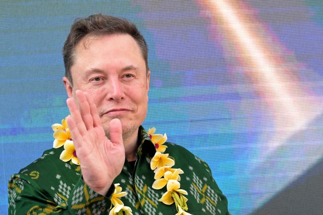 <p>Tech billionaire Elon Musk on Indonesia’s resort island of Bali on 19 May, 2024</p>