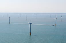 Offshore wind roars back – but Ed Miliband’s work isn’t done yet