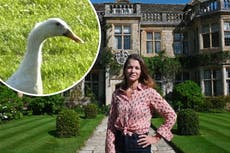 Viscountess calls on amateur sleuths to solve mystery of Duck Strangler