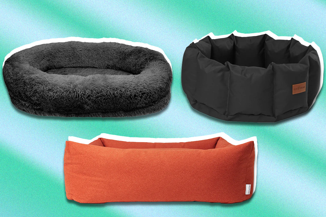 Comfortable dog beds hotsell