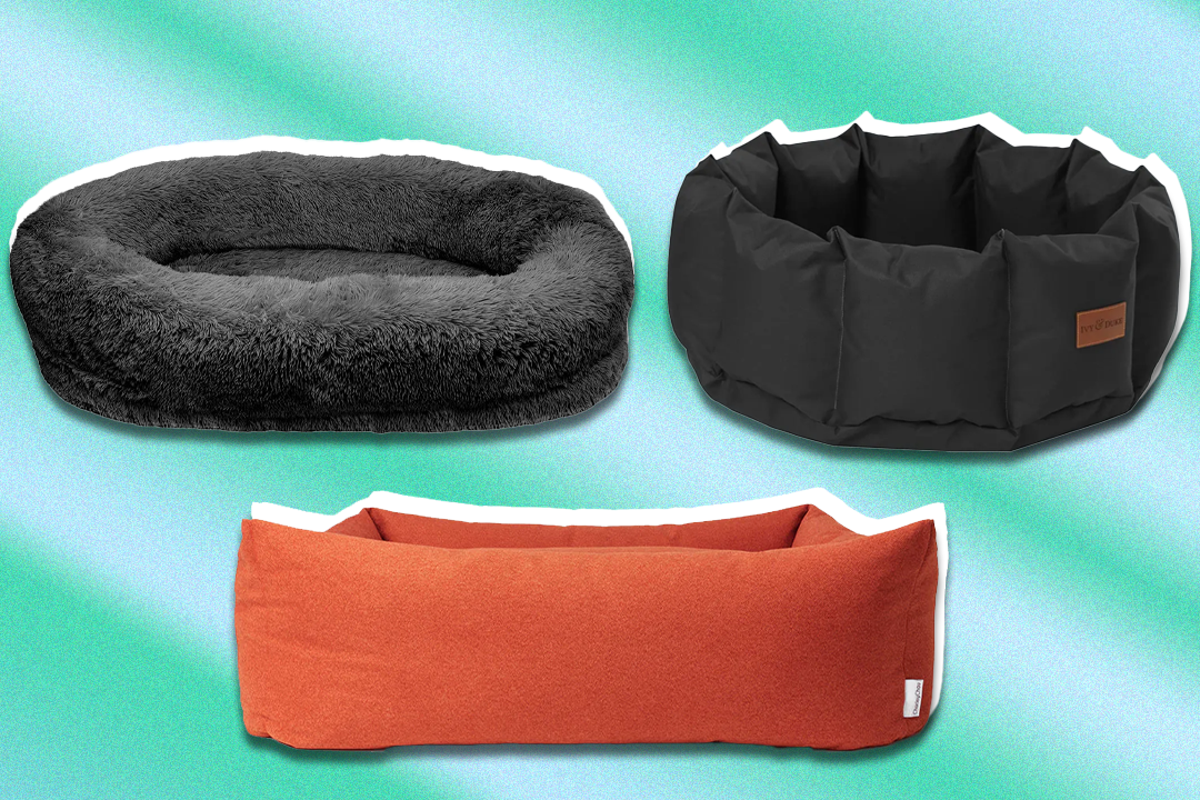 Best dog bed 2024, tried and tested by pet parents