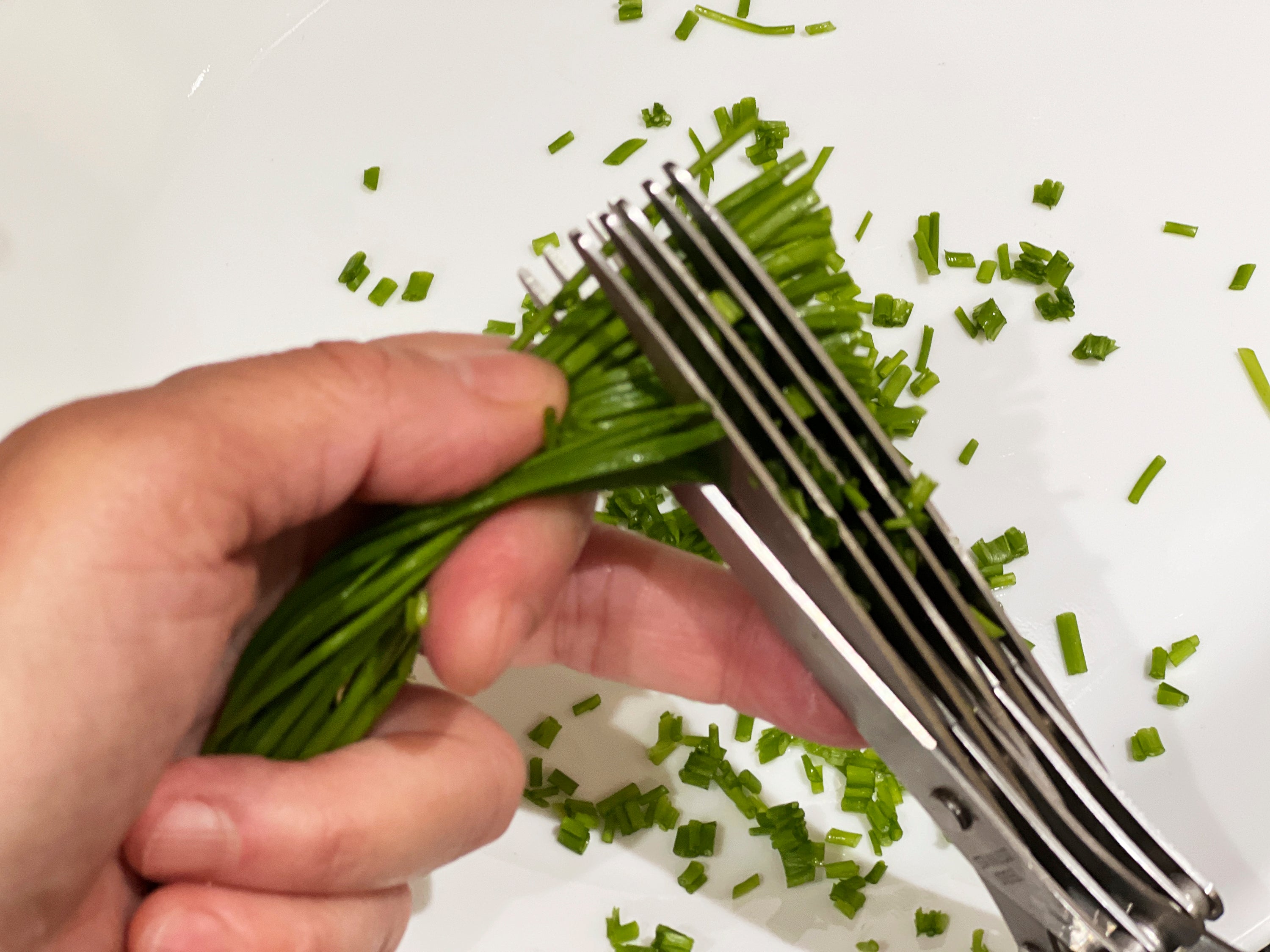 Gardening-Preserving the Harvest