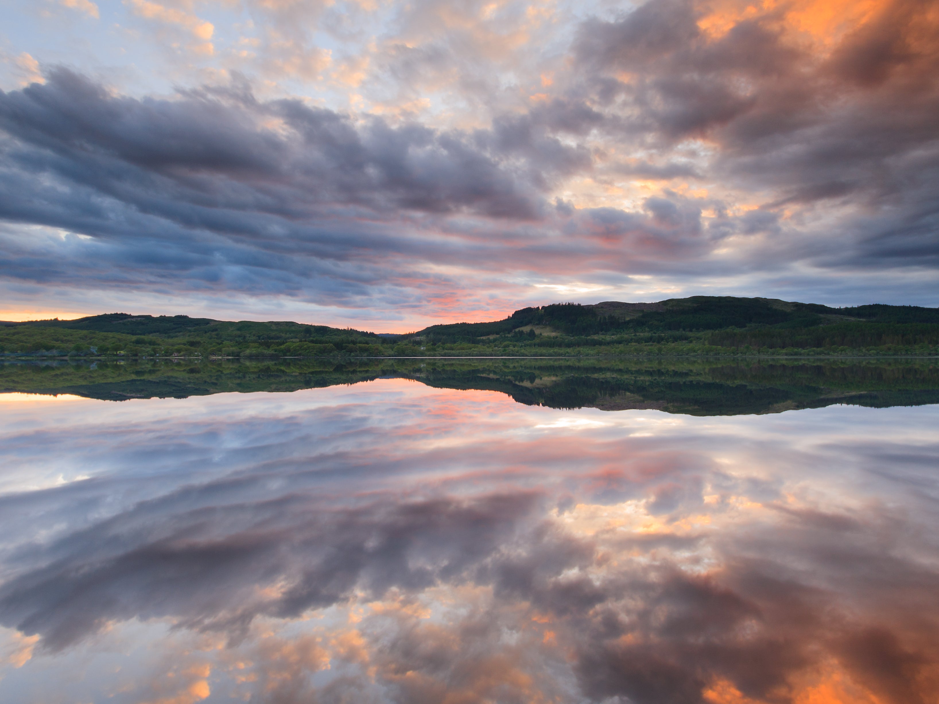 Pristine waters in Loch Ryan, Scotland, give their oysters a firm texture and clean flavour