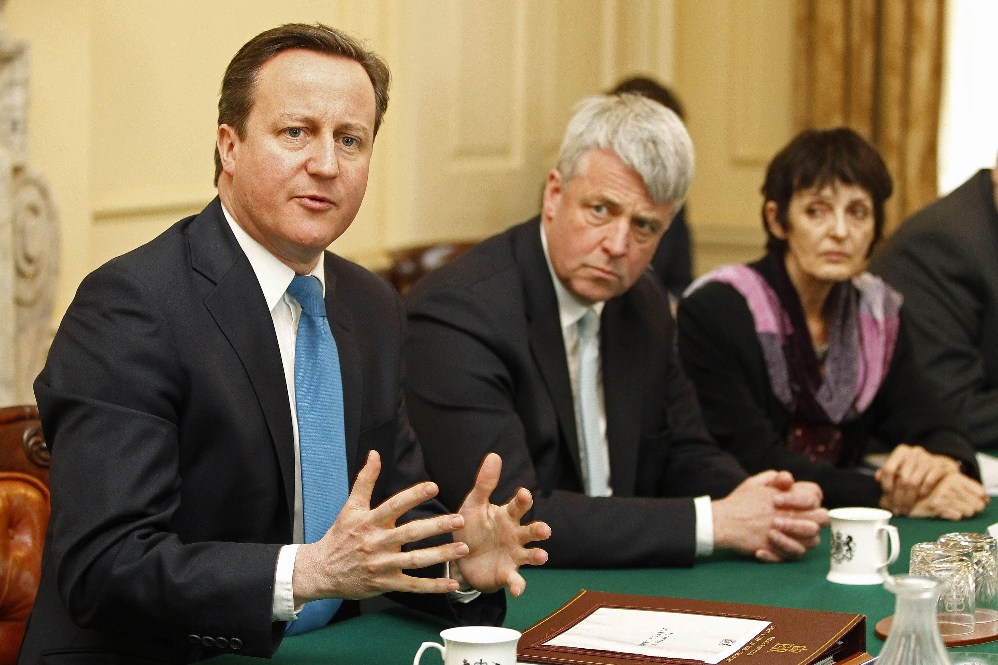 Andrew Lansley sitting in cabinet with David Cameron (Stefan Wermuth/PA)