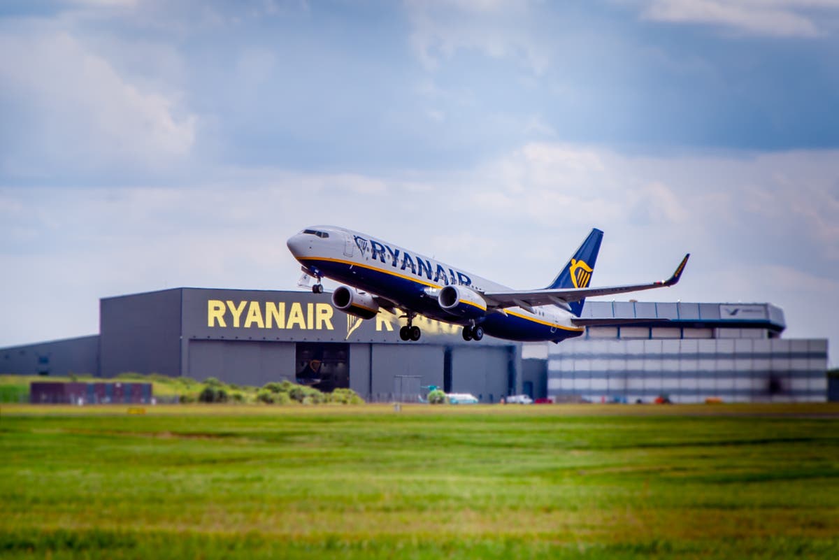 Ryanair CEO Warns of Christmas Flight Price Hikes