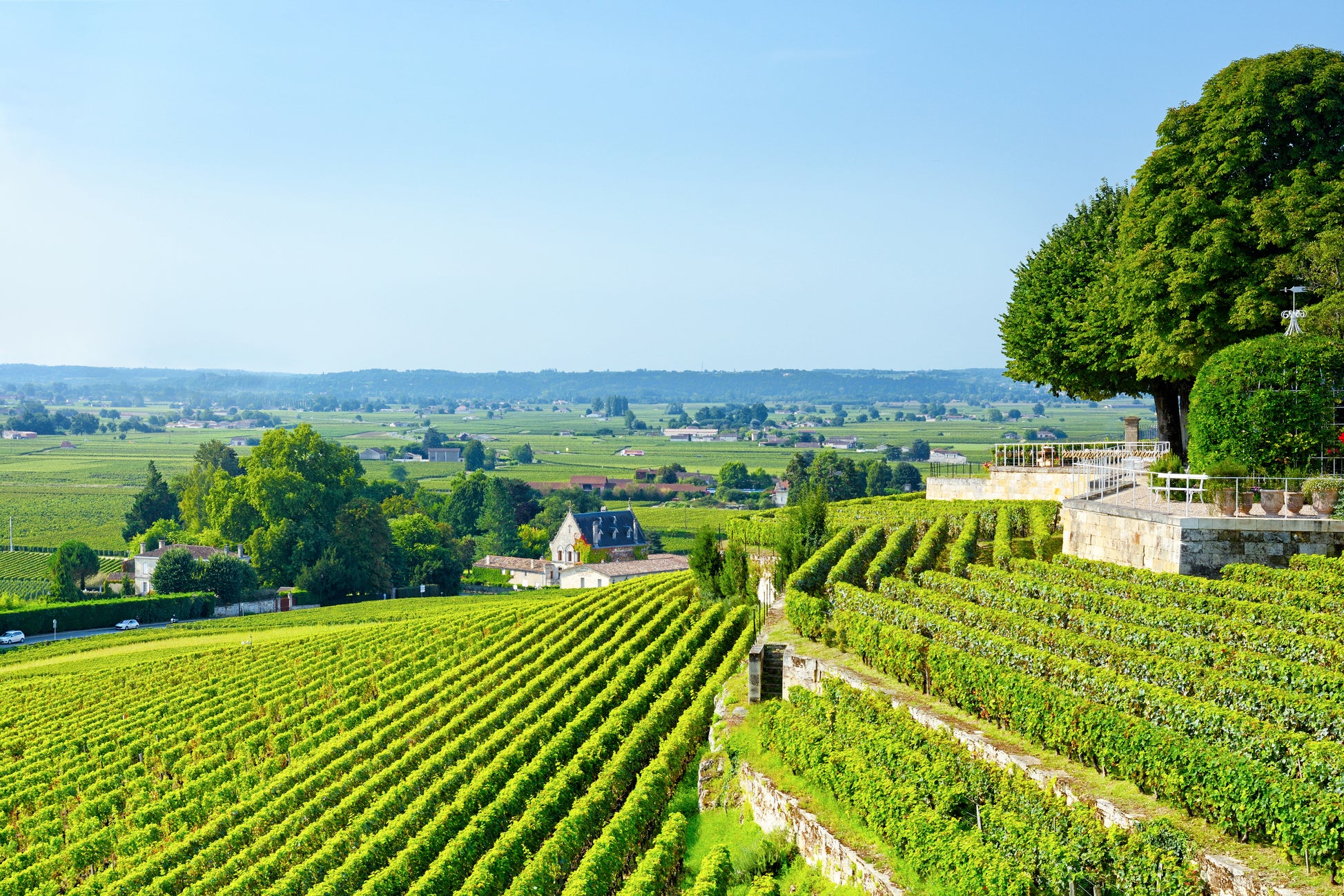 Bordeaux offers everything from bold, age-worth First Growths to approachable village wines