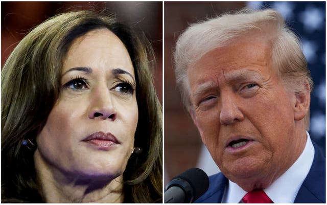 <p>Harris and Trump ‘neck and neck’ heading into crucial debate, says new poll</p>