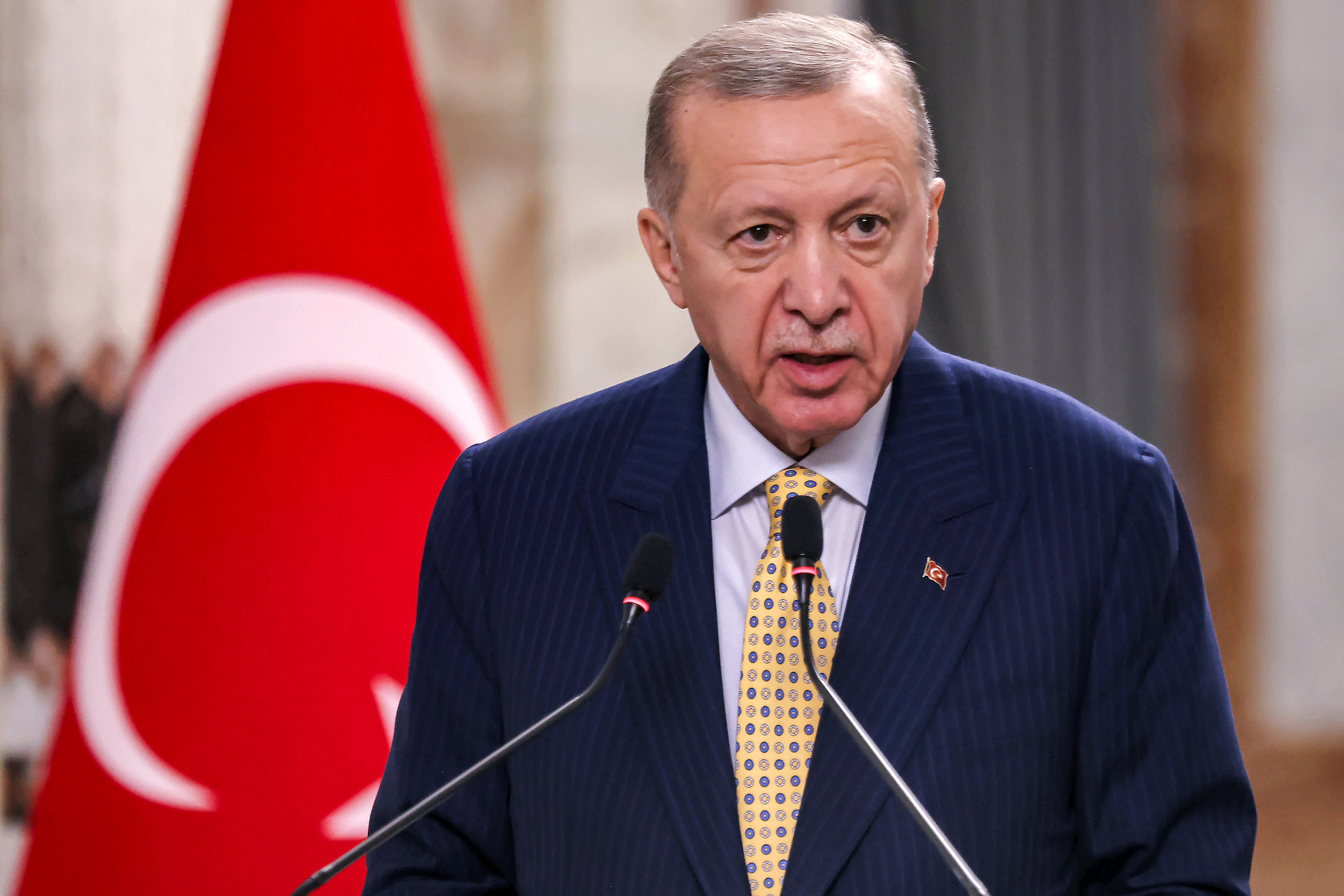 Turkish President Tayyip Erdogan says the United Nations General Assembly should recommend the use of force