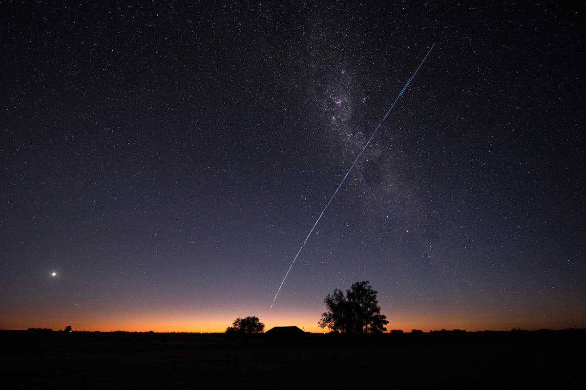 A vast meteor striking Earth might have brought about whole new kinds of life, scientists say