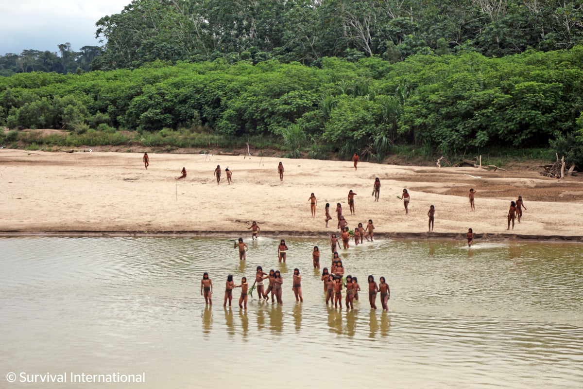 Remote Indigenous tribe kills two loggers in Peru as rights groups call for more government action