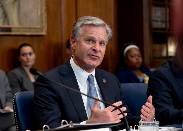 <p>Christopher Wray has been FBI director since 2017 </p>