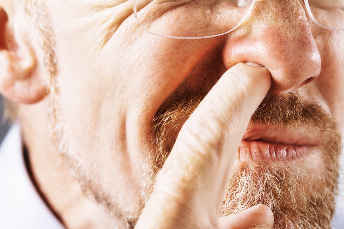 Picking your nose could contribute to risk of Alzheimer’s disease, study finds Picking your nose could contribute to risk of Alzheimer’s disease, study finds
