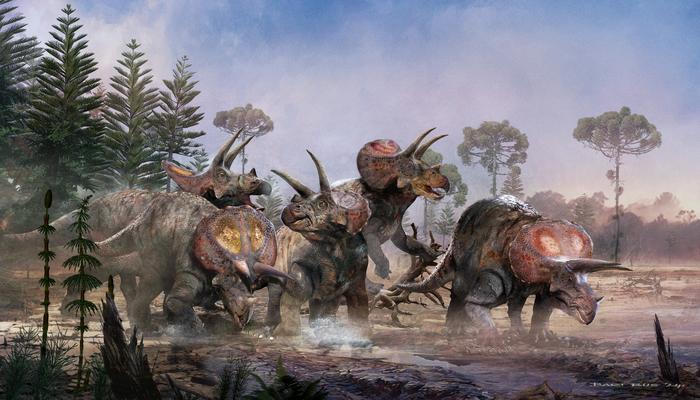 A herd of triceratops walking through a swamp