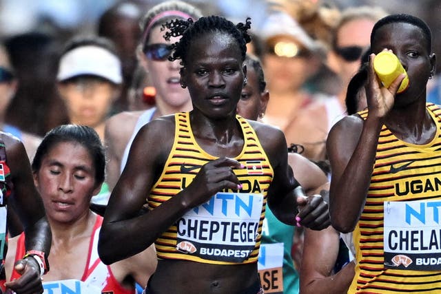 <p>Rebecca Cheptegei competes in the Budapest Marathon last year </p>