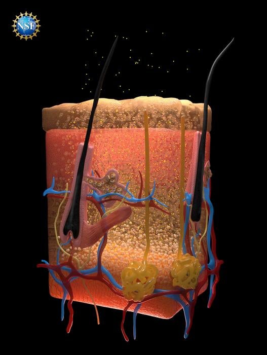 Illustration of skin tissue with dye application