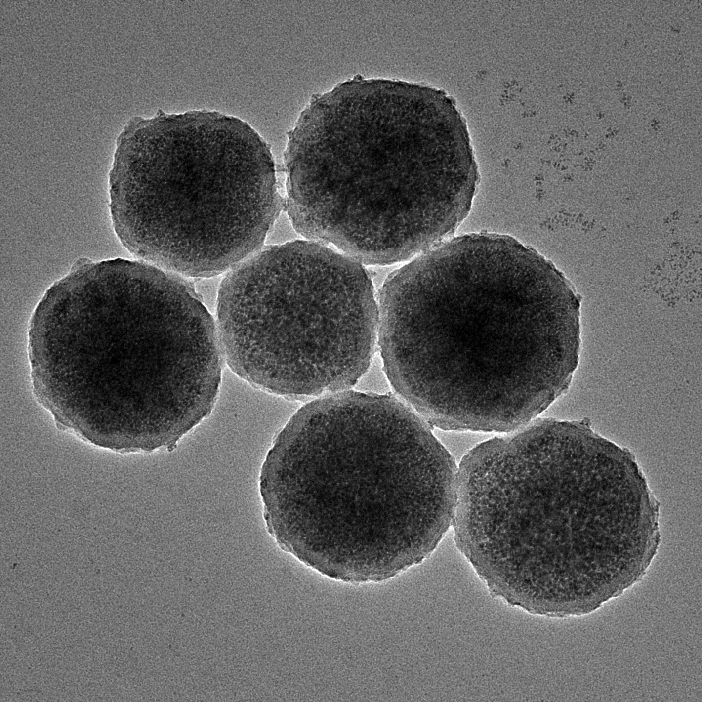 A close-up of engineered magnetic nanorobots about 300nm in diameter created to treat bleeds in the brain caused by aneurysms