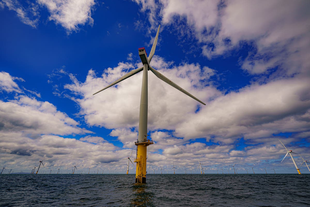 Fact check: Major hurdle for offshore wind auction was changed by Conservatives