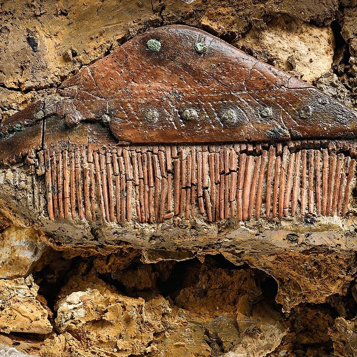 Archaeologists unearth 1,700-year-old grave of Germanic 'barbarian' who lived near Roman Empire's frontier | The Independent