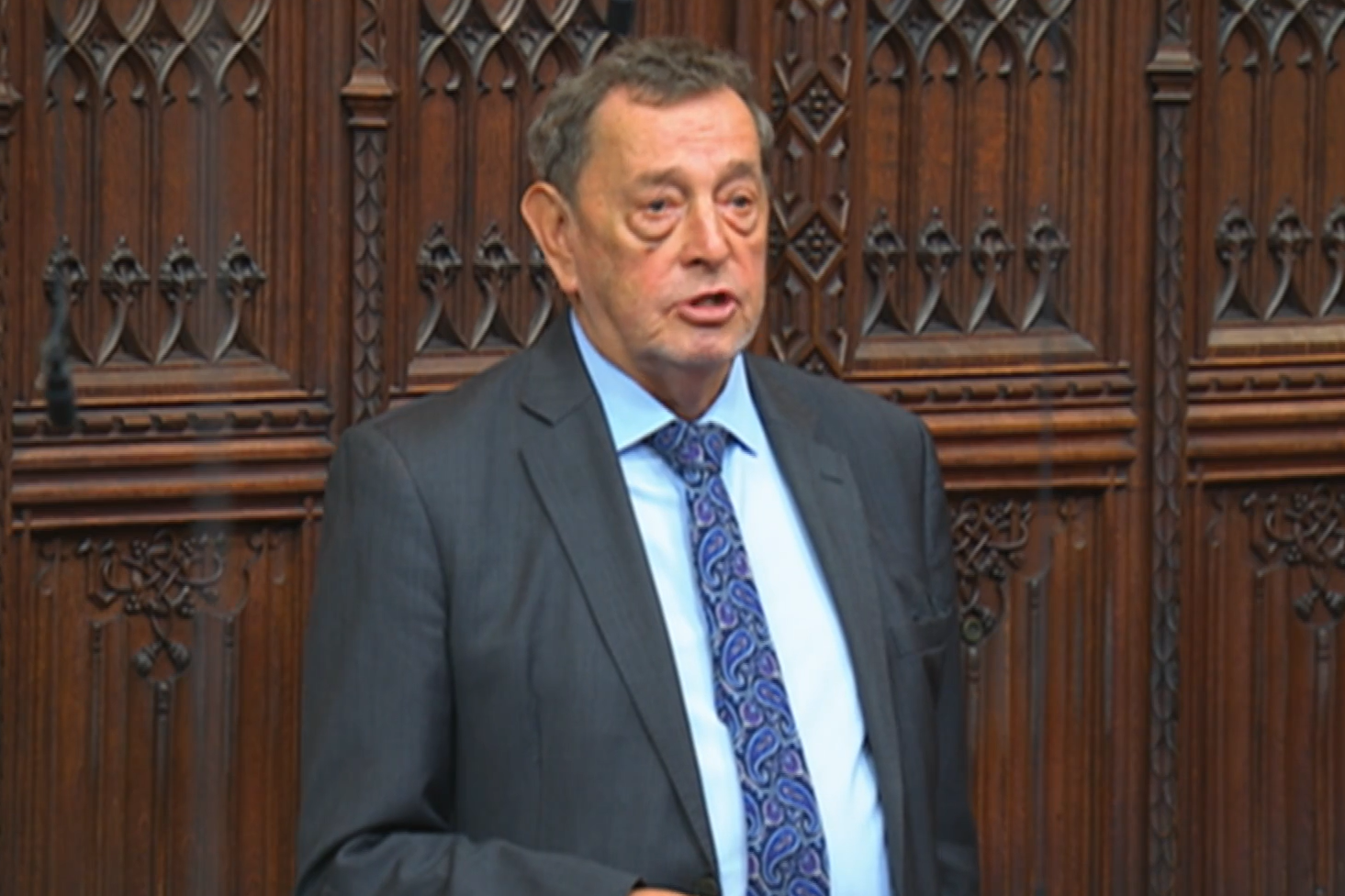 Labour peer Lord Blunkett addresses the House of Lords (PA)