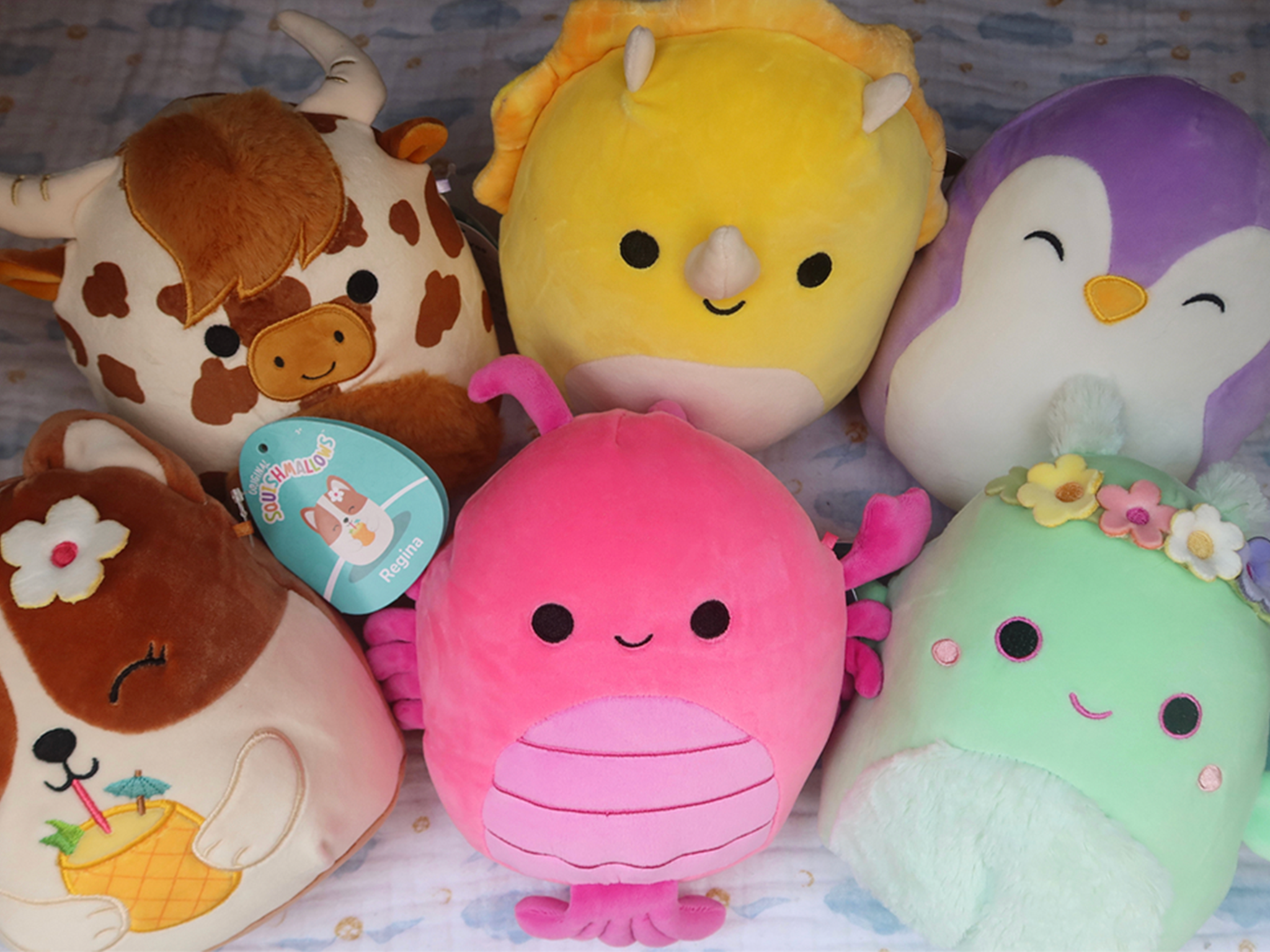 We cuddled up to a variety of Squishmallows