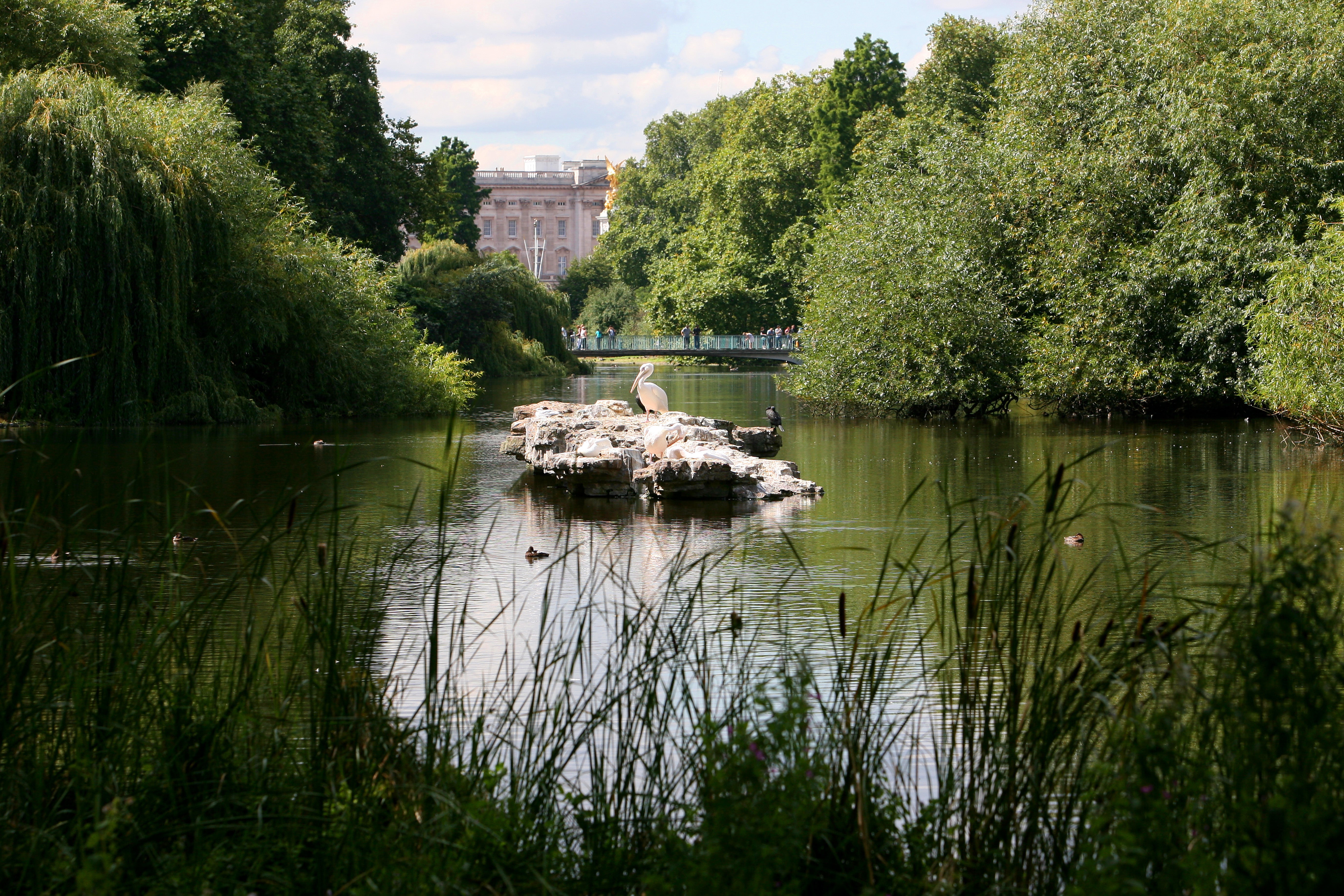 The view of Buckingham Palace from across the lake in St James’s Park (Johnny Green/PA)