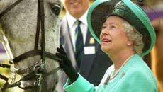 Queen’s poignant remark during final ride on beloved pony shared by groom