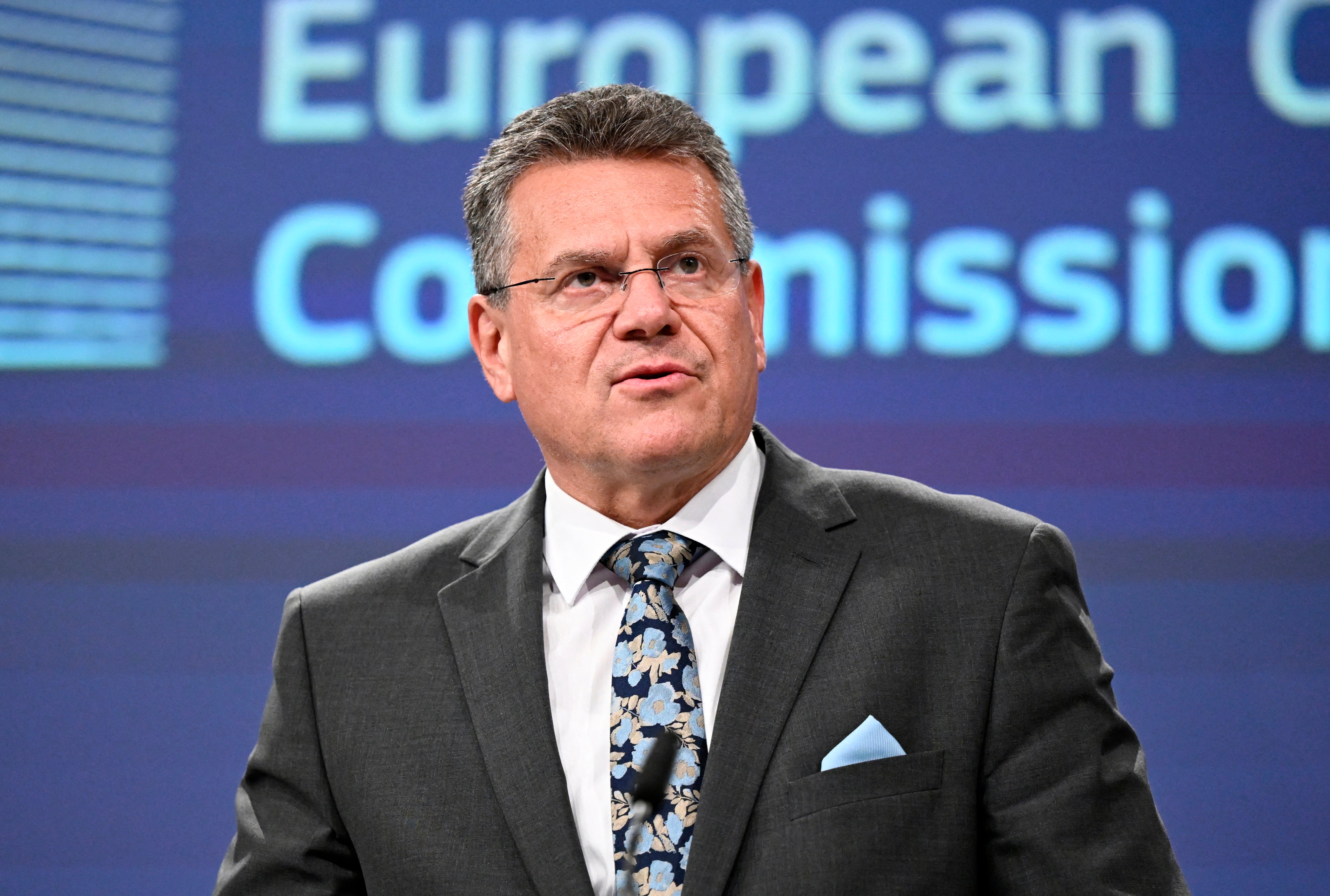 Maros Sefcovic said the European Union would consider letting Britain join the Pan-Euro-Mediterranean Convention (PEM)