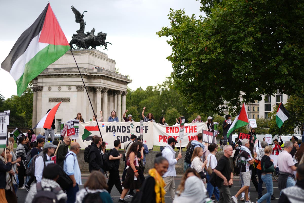 Thousands gather for latest pro-Palestinian protest in London | The