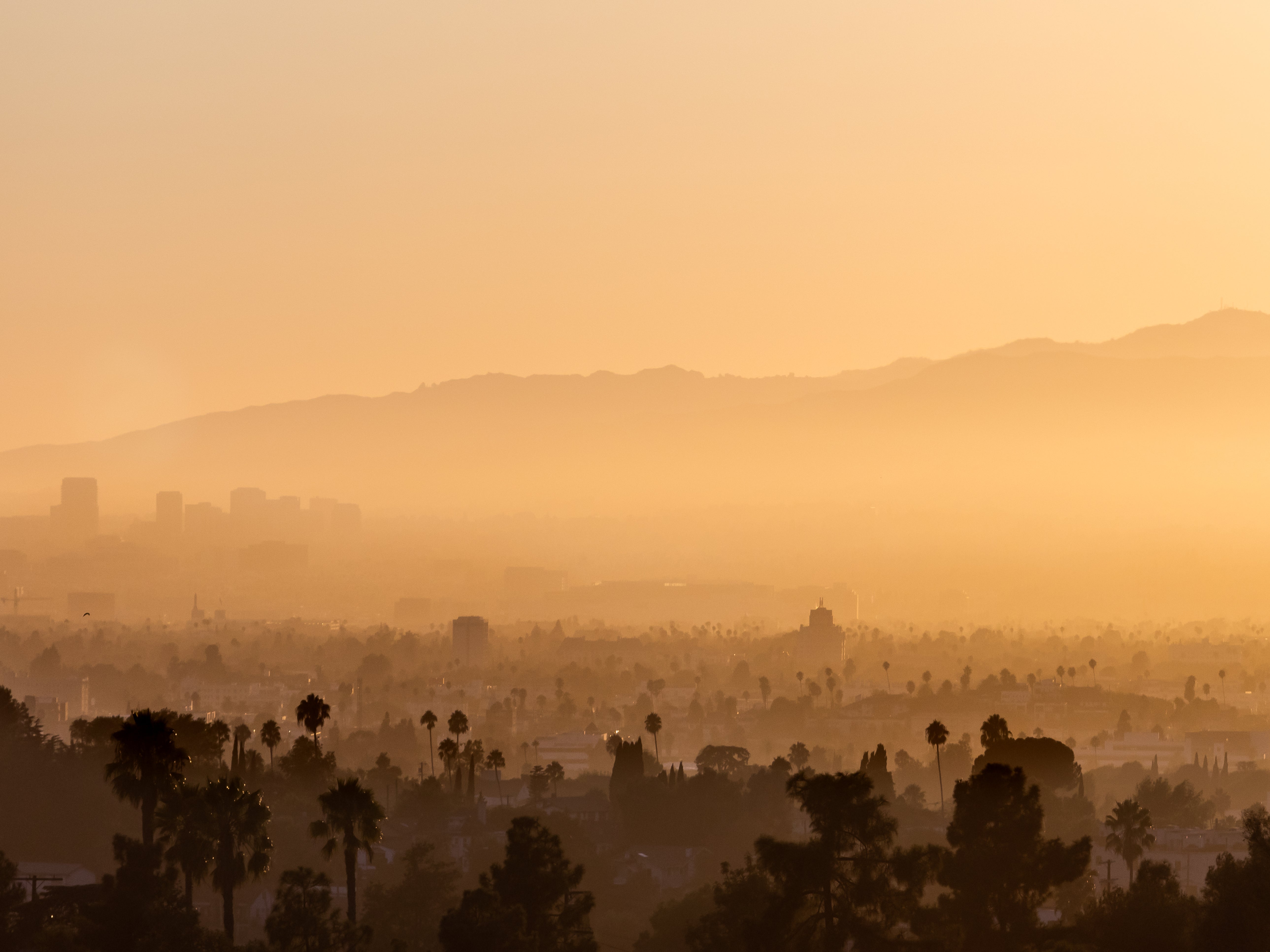 A view of Beverly Hills seen from Elysian Park on September 6, 2024 in Los Angeles, California. This week’s heat wave hits parts of Southern California with triple-digit temperatures